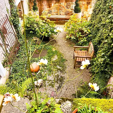 Living History (adults Only) 아파트 *