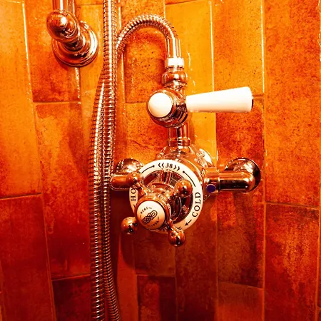 Living History (adults Only) * Hallstatt