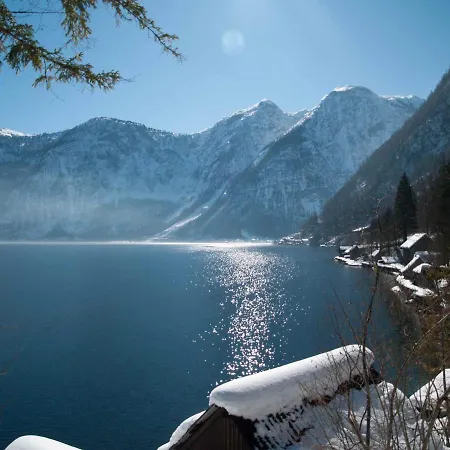 Living History (adults Only) *