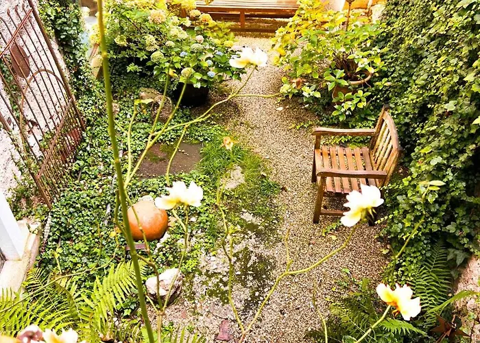 Living History (adults Only) Daire *