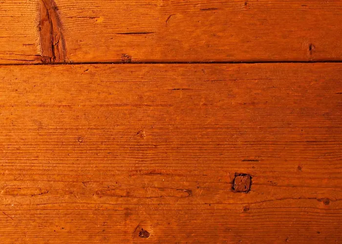 Daire Living History (adults Only) *