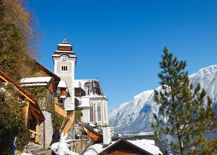 Living History (adults Only)