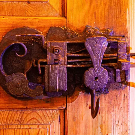 Living History (adults Only) *