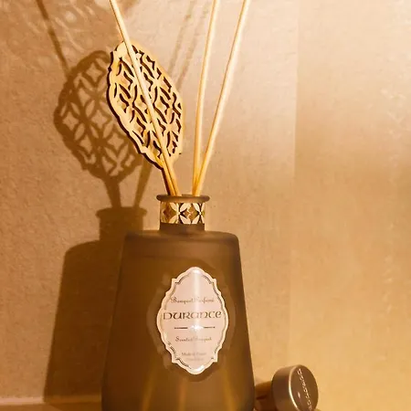 Living History (adults Only) هالشتات