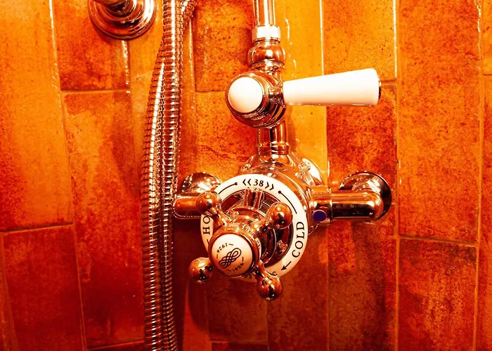 Living History (adults Only) * Hallstatt