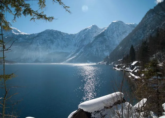 Living History (adults Only) *